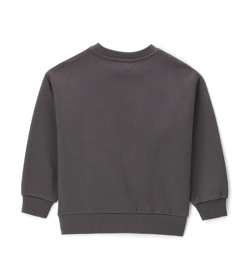 Παιδικό φούτερ από βαμβάκι με στρογγυλή λαιμόκοψη, ριμπ τελειώματα και τύπωμα στο μπροστινό μέρος. Ένα μοντέρνο και άνετο κομμάτι, ιδανικό για κάθε καθημερινή εμφάνιση. Συνδυάζει στυλ και πρακτικότητα, προσφέροντας ζεστασιά και ευκολία στην κίνηση.