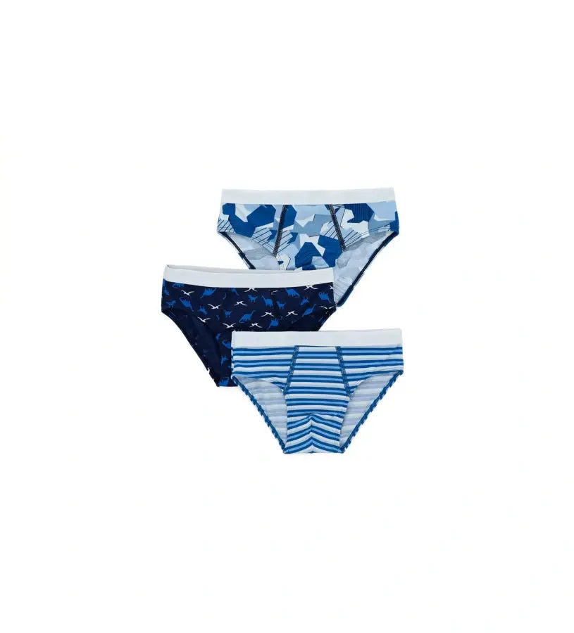 παιδικά slip αγόρι σετ τριών τεμαχίων
slip αγοριού με ψηλό ελαστικό
παιδικά εσώρουχα αγοριού με φαντασία
άνετα slip αγοριού για κάθε μέρα