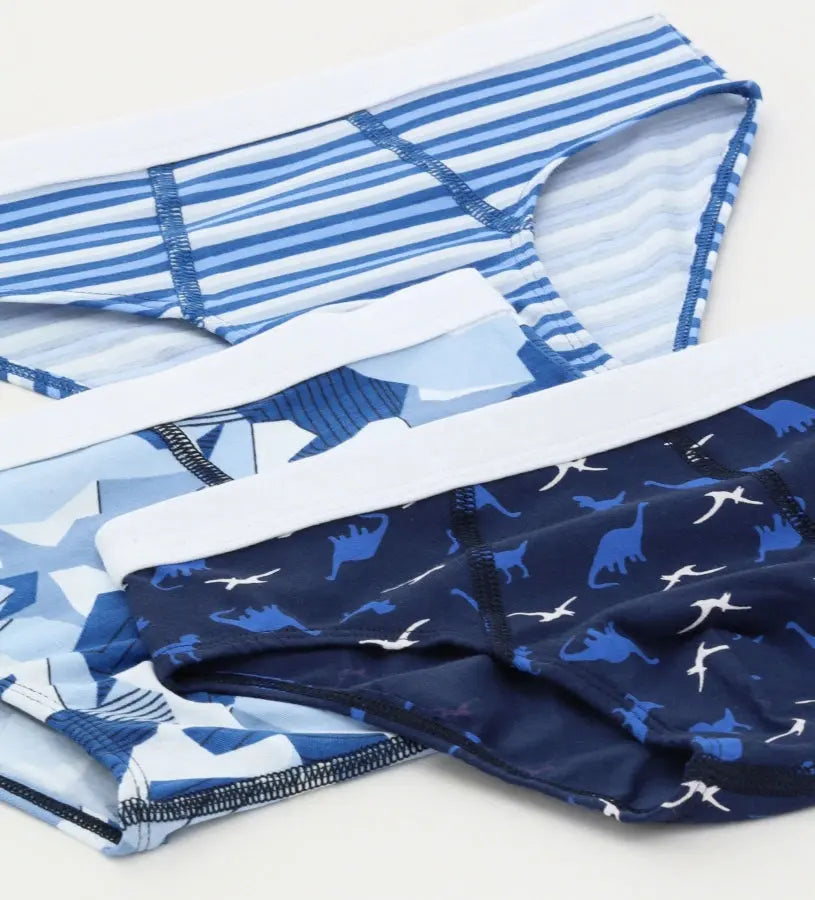 παιδικά slip αγόρι σετ τριών τεμαχίων
slip αγοριού με ψηλό ελαστικό
παιδικά εσώρουχα αγοριού με φαντασία
άνετα slip αγοριού για κάθε μέρα