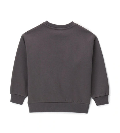 Παιδικό φούτερ από βαμβάκι με στρογγυλή λαιμόκοψη, ριμπ τελειώματα και τύπωμα στο μπροστινό μέρος. Ένα μοντέρνο και άνετο κομμάτι, ιδανικό για κάθε καθημερινή εμφάνιση. Συνδυάζει στυλ και πρακτικότητα, προσφέροντας ζεστασιά και ευκολία στην κίνηση.